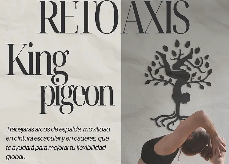 Reto Axis KING PIGEON