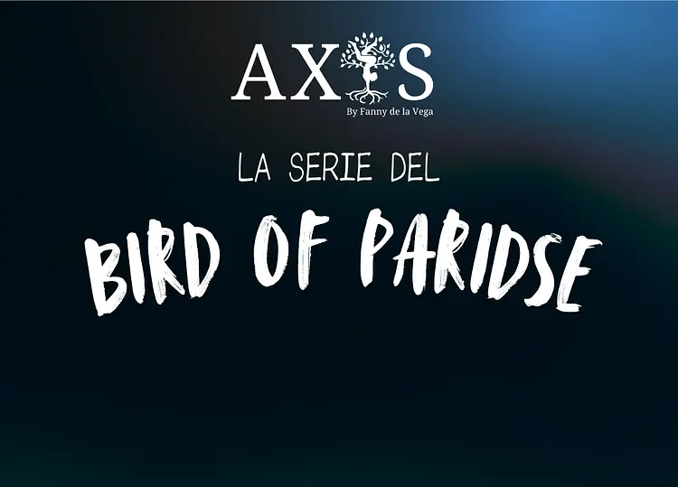 La Serie del Bird of Paradise