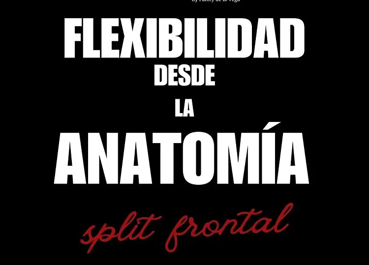 Flexibilidad desde la Anatomía — Split Frontal